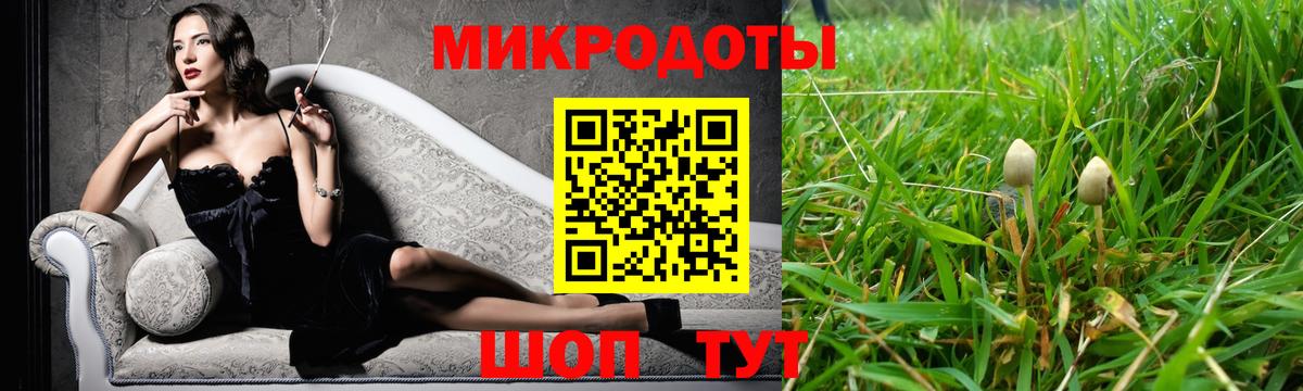Псилоцибиновые грибы GOLDEN TEACHER  Вход с VPN  Мытищи 
